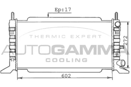 Теплообменник AUTOGAMMA 100339