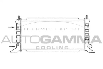 Теплообменник AUTOGAMMA 100342