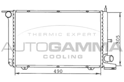 Теплообменник AUTOGAMMA 100343