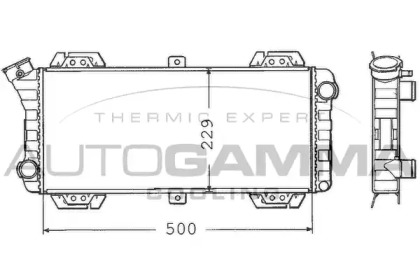 Теплообменник AUTOGAMMA 100349