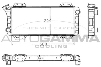 Теплообменник AUTOGAMMA 100350