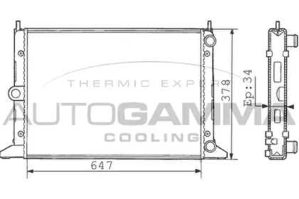 Теплообменник AUTOGAMMA 100360