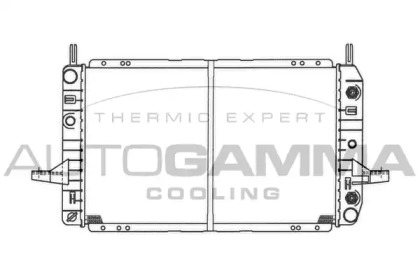 Теплообменник AUTOGAMMA 100380