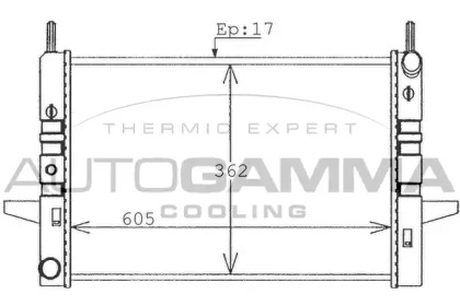 Радиатор, охлаждение двигателя AUTOGAMMA 100386