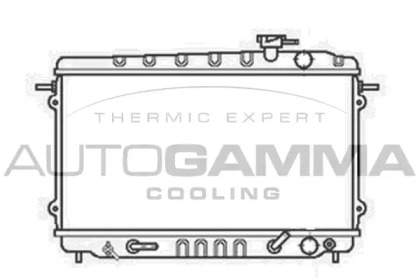 Теплообменник AUTOGAMMA 100403