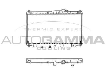 Теплообменник AUTOGAMMA 100406