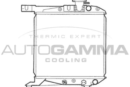 Теплообменник AUTOGAMMA 100412