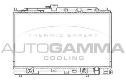 Теплообменник AUTOGAMMA 100415