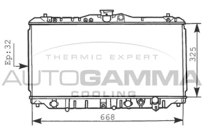 Теплообменник AUTOGAMMA 100434