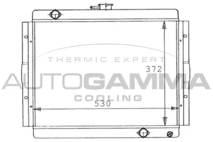 Теплообменник AUTOGAMMA 100440