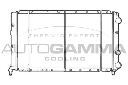 Теплообменник AUTOGAMMA 100457