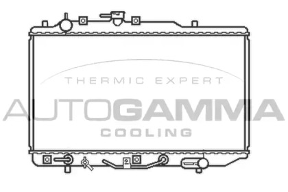 Теплообменник AUTOGAMMA 100476