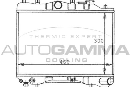 Теплообменник AUTOGAMMA 100481