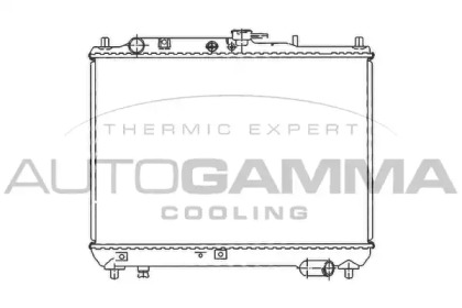 Теплообменник AUTOGAMMA 100489