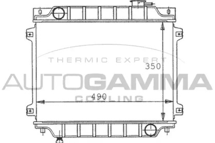 Теплообменник AUTOGAMMA 100492