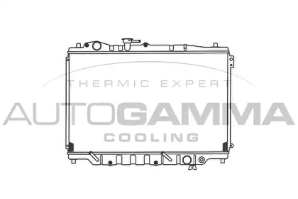 Теплообменник AUTOGAMMA 100502