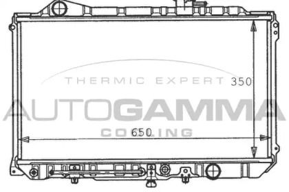 Теплообменник AUTOGAMMA 100504