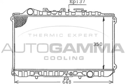 Теплообменник AUTOGAMMA 100505