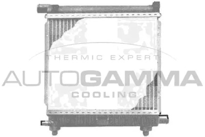 Теплообменник AUTOGAMMA 100511