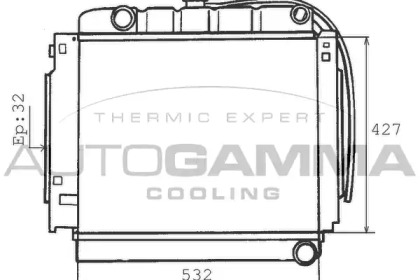 Теплообменник AUTOGAMMA 100528