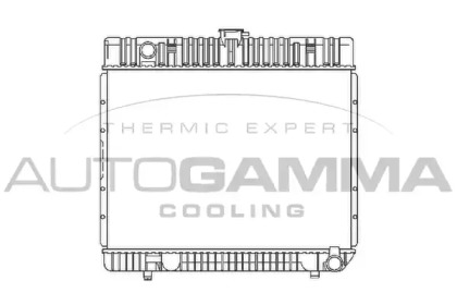 Теплообменник AUTOGAMMA 100532