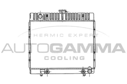 Теплообменник AUTOGAMMA 100533