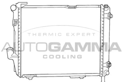 Теплообменник AUTOGAMMA 100544