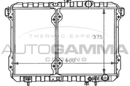 Теплообменник AUTOGAMMA 100581