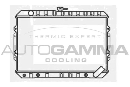 Теплообменник AUTOGAMMA 100594