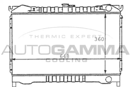 Теплообменник AUTOGAMMA 100603