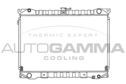 Теплообменник AUTOGAMMA 100611