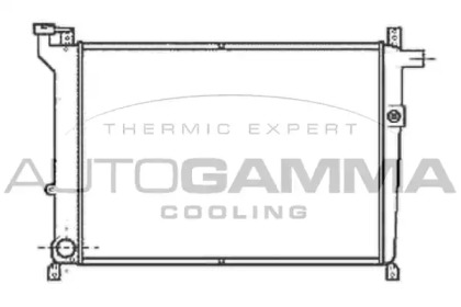 Теплообменник AUTOGAMMA 100613