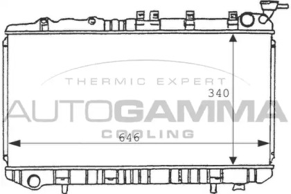 Теплообменник AUTOGAMMA 100630