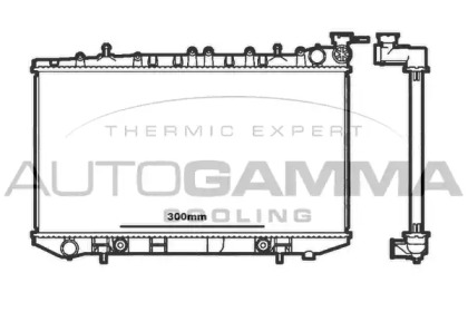 Теплообменник AUTOGAMMA 100632