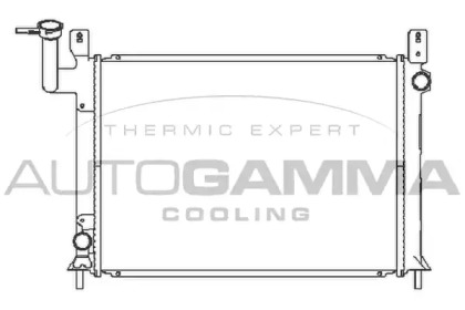 Теплообменник AUTOGAMMA 100643
