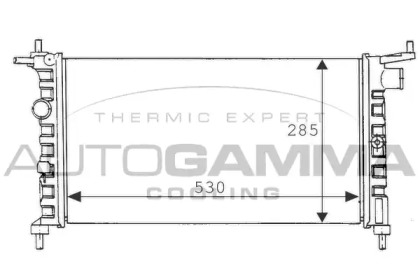 Теплообменник AUTOGAMMA 100674