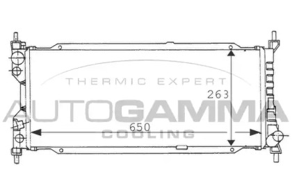 Теплообменник AUTOGAMMA 100675