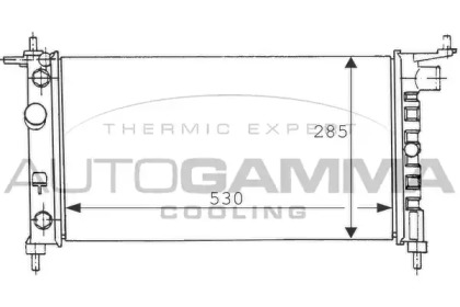 Теплообменник AUTOGAMMA 100676