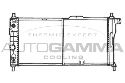 Теплообменник AUTOGAMMA 100693