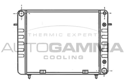 Теплообменник AUTOGAMMA 100702