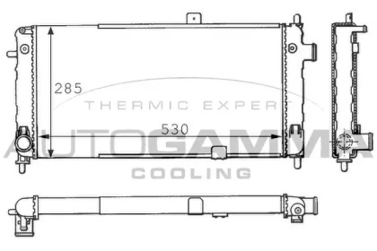 Теплообменник AUTOGAMMA 100705