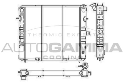 Теплообменник AUTOGAMMA 100721