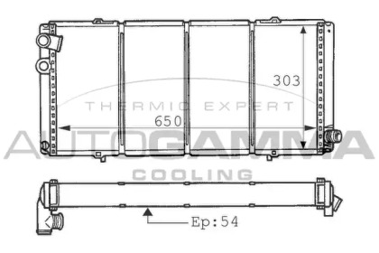  AUTOGAMMA 100745