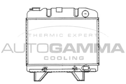 Теплообменник AUTOGAMMA 100786