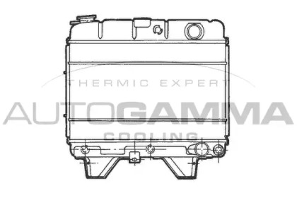 Теплообменник AUTOGAMMA 100787