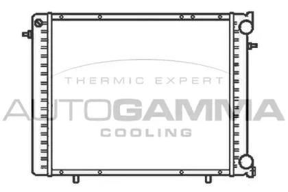 Теплообменник AUTOGAMMA 100854