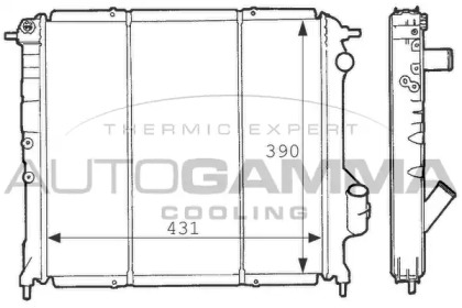 Теплообменник AUTOGAMMA 100894