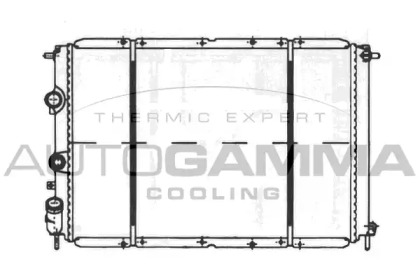 Теплообменник AUTOGAMMA 100905