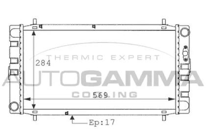 Теплообменник AUTOGAMMA 100923