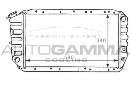 Теплообменник AUTOGAMMA 100970